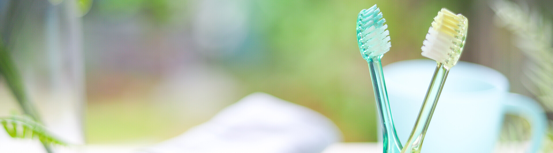 歯ブラシヘッダー画像